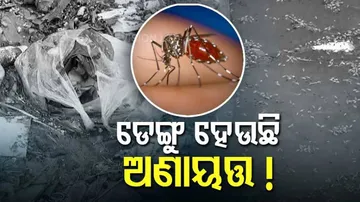 କୋଭିଡ୍ ଭୟ ଦୂର ନହେଉଣୁ, ଘାରିଲାଣି ଡେଙ୍ଗୁ ଡର