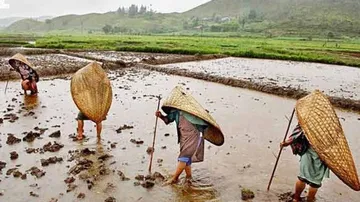 ଭାରତର ଏହି ଗାଁରେ ସବୁଠାରୁ ଅଧିକ ବର୍ଷା ହୋଇଥାଏ