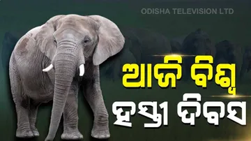 ଆଜି ବିଶ୍ୱ ହସ୍ତୀ ଦିବସ, ହାତୀ ମାନଙ୍କ ସୁରକ୍ଷା ଓ ସଂରକ୍ଷଣ ଉପରେ ଗୁରୁତ୍ୱ