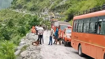 ହିମାଚଳ ଭୂସ୍ଖଳନ: ମୃତ୍ୟୁ ସଂଖ୍ୟା ୧୬ କୁ ବୃଦ୍ଧି, ସନ୍ଧାନୀ କୁକୁର ସାହାଯ୍ୟରେ ଚାଲିଛି ନିଖୋଜଙ୍କୁ ଖୋଜା