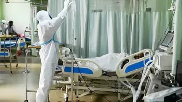 ଆବିଷ୍କାର ହେଲା ନୂଆ ଫଙ୍ଗସ୍‌; ଦେଖା ଦେଉଛି ଏମିତି ଲକ୍ଷଣ