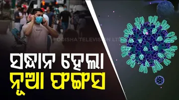 ୯୮୬ କରୋନା ପଜିଟିଭ୍‌, ୧୮ ବର୍ଷରୁ କମ୍ ବୟସର ୧୨୮ ଆକ୍ରାନ୍ତ ଚିହ୍ନଟ