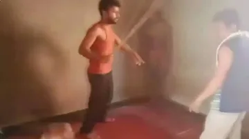 New Revelation About Human Organisation