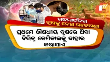 Researches In Search Of Wonder Herbs On Gandhamardan