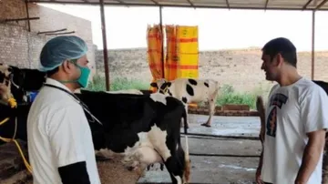 Mahendra Singh Dhoni