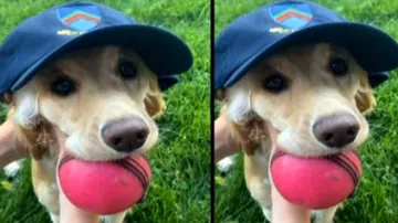 ICC announces a special award