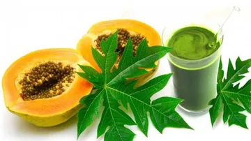 benefits of papaya leaves