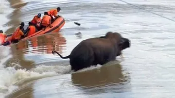 ODRAF Boat Capsizes In Mahanadi