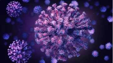 Covid 19 Odisha Updates