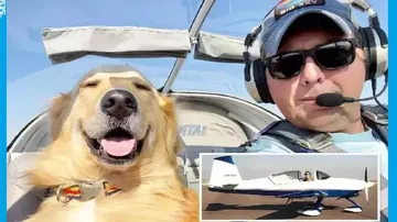 Aircraft modified for pet dog