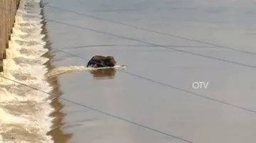  Mundali Boat Tragedy