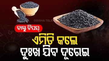 vastu for sesame seeds