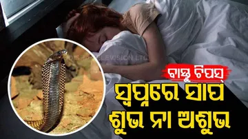 Snake Dream and Vastu