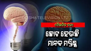 Human brains decreased in size