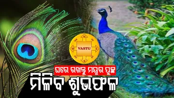 peacock's tail  and vastu