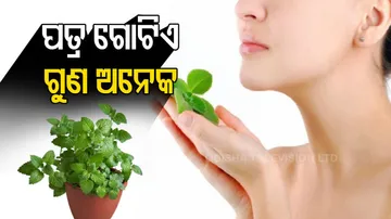 Mint leaves for skin