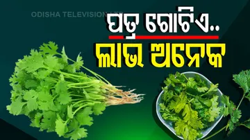 coriander leaves benefits