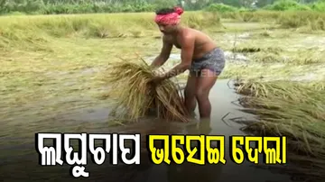 Unseasonal Rain Menace