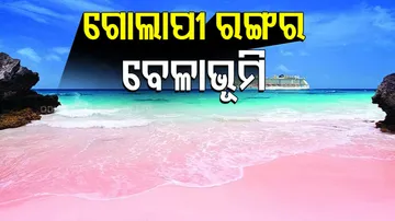 PINK BEACH, INDONESIA