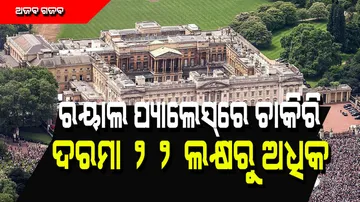 Queen Elizabeth is searching a helper writer at Buckingham palace