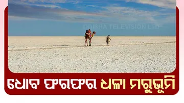 Rann of Kutch, gujurat