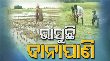 odisha Farmer