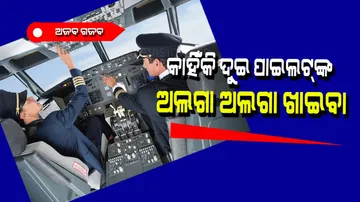 Why pilots and co-pilots served different meals in aeroplane