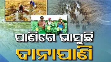 Cyclone Jawad Effect