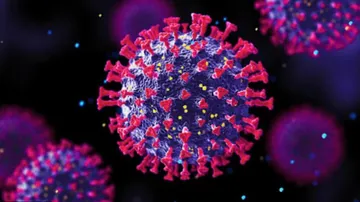 Four Returnees From At Risk Countries Found Positive In Odisha