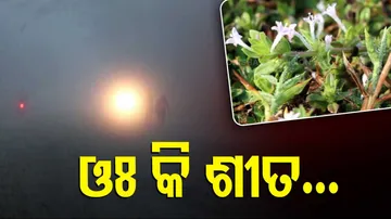 Cold Wave Sweeps Several Parts Of Odisha