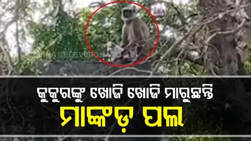 Biswanath Pandit Central Library