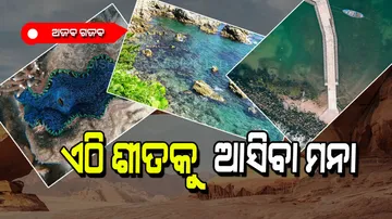 The places where winter never comes