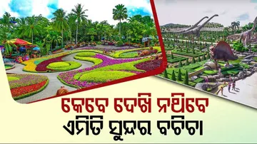 Nong nooch garden, Thailand