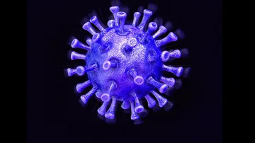Coronavirus