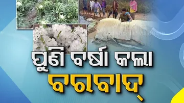 Heavy Rainfall Alert