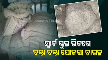 Locals Allege Corruption In Mid-Day Meal In Jajpur