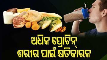 Excess protein is harmful to the body