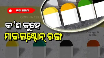 Why milestone are different in colour