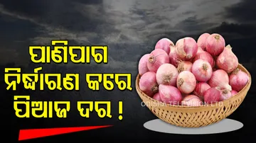 Onion Price