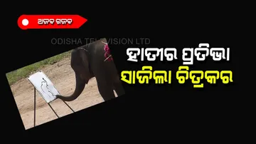 Elephant make nice painting