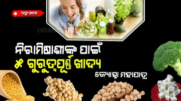 5 foods that rich in protein for vegetarian