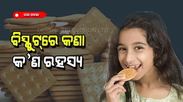 Why biscuits have holes