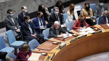 U.N. Security Council 