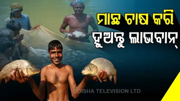 It is beneficial to cultivate fish at a very low cost