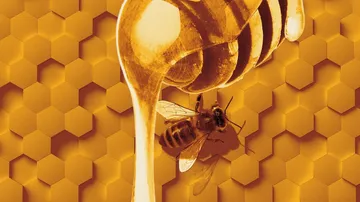 Cultivating honey is beneficial
