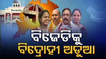 Municipal Elections 2022