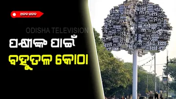 The man made a luxurious building for the birds