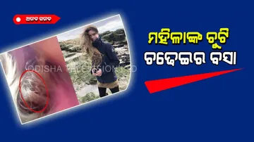 Woman has friendship with bird who nests in her hair