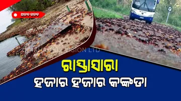 The facts of crab Cuban disaster