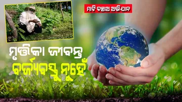 save soil movement